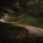 Psykisk ohälsa hos barn och ungdomar kursbild skogsväg.